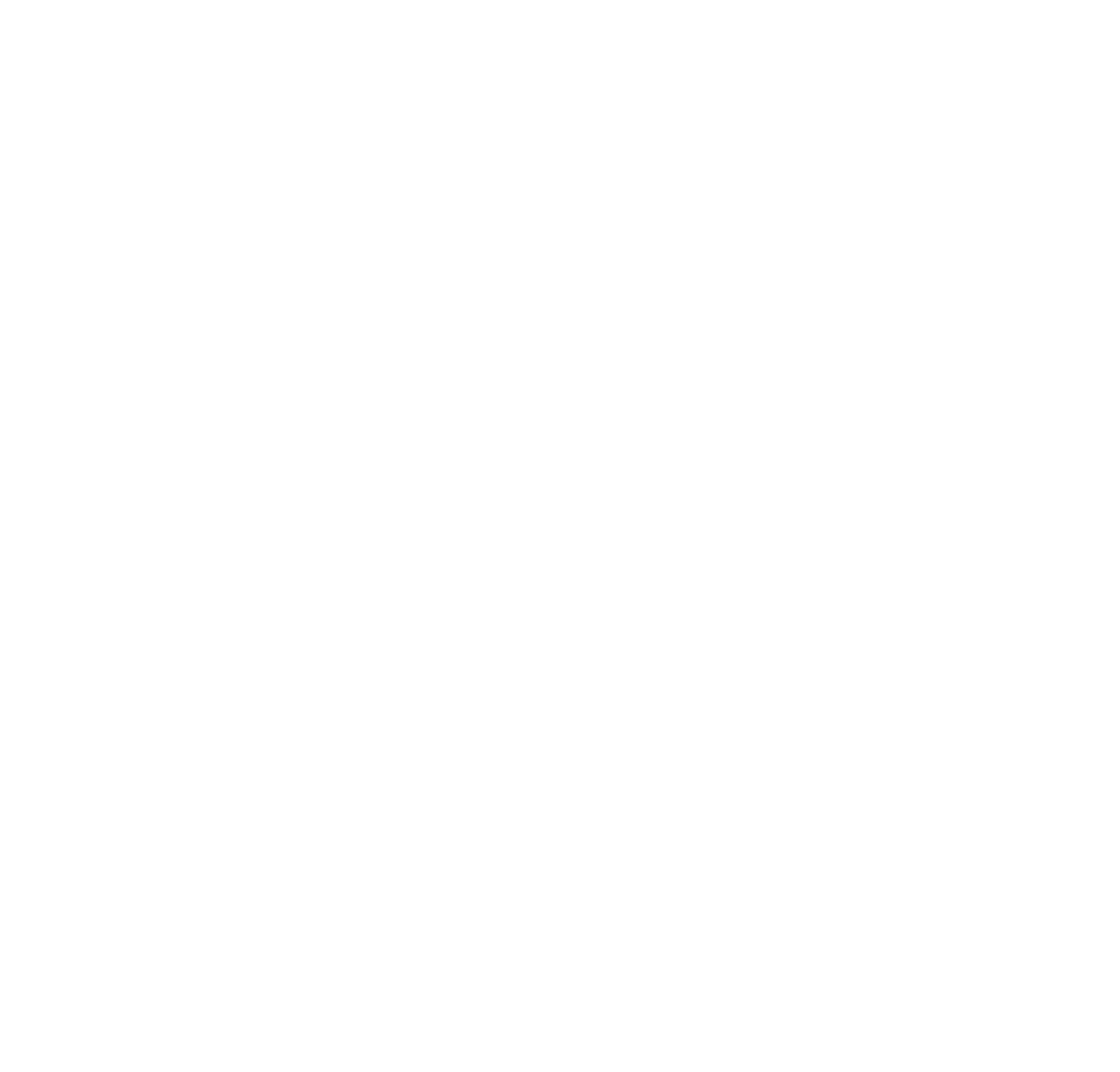 CAM WEALTH Secondary REV logo